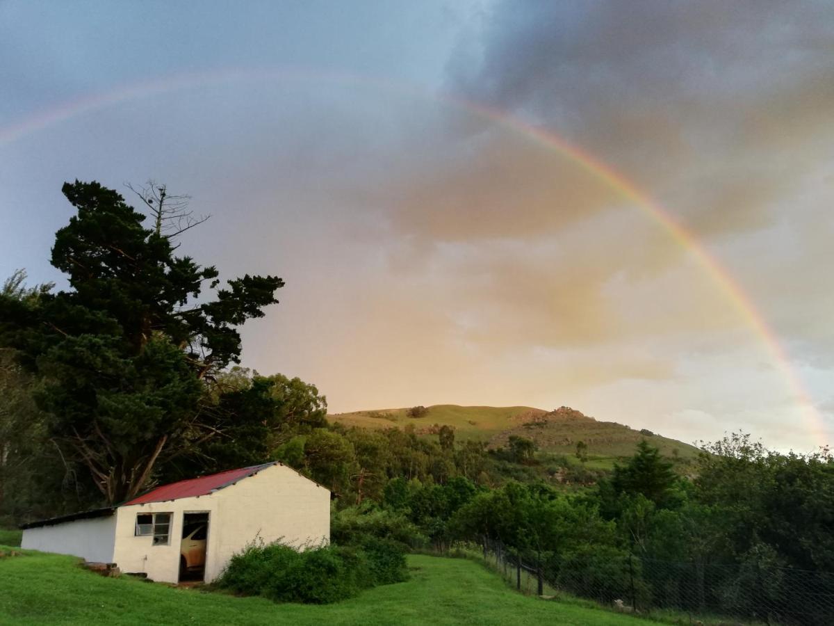 Sheeprun Farmstay Maclear Zewnętrze zdjęcie