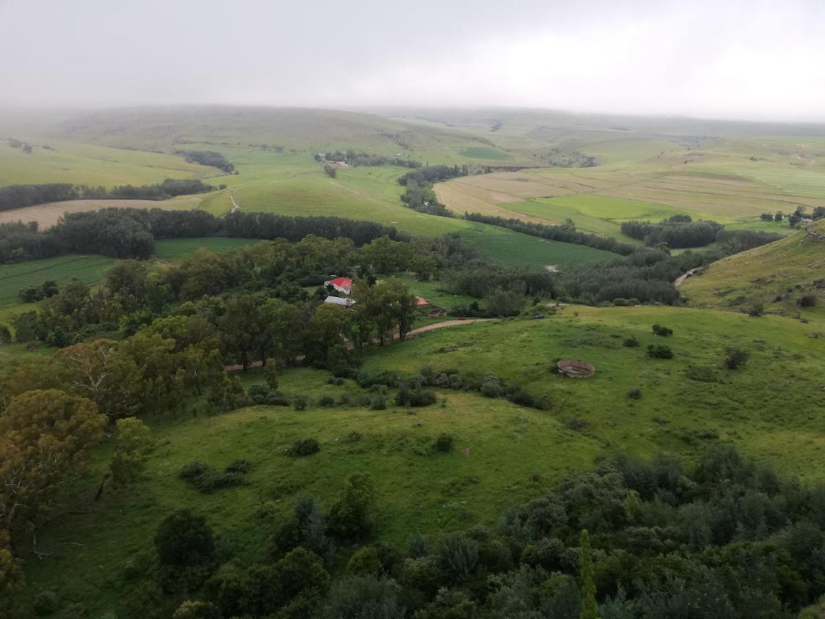 Sheeprun Farmstay Maclear Zewnętrze zdjęcie
